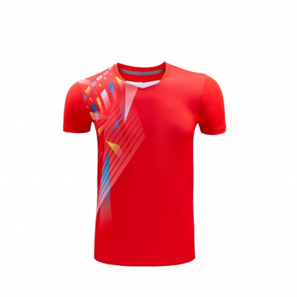 Badminton Set Jersey 6909